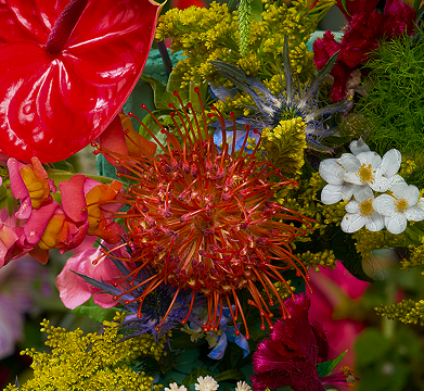 Close-up of a colorful floral arrangement featuring a spiky red pincushion protea, red anthurium, yellow sprigs, white blossoms, and various greenery.