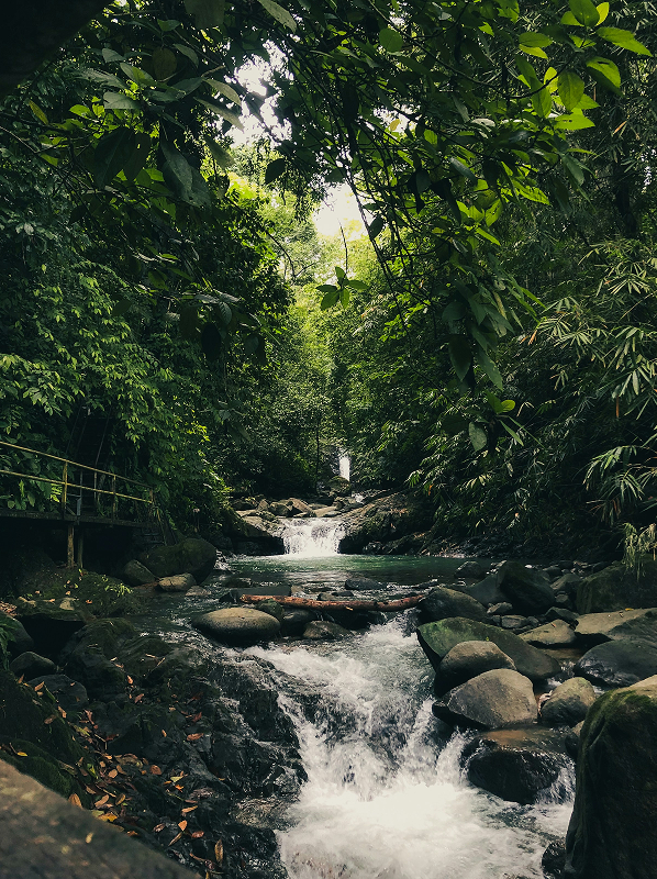 Flowing river with small waterfalls surrounded by dense green forest and rocks.