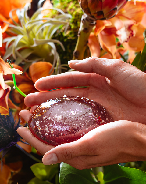 Two hands gently holding a shiny, translucent red soap bar with bubbles, surrounded by orange flowers and greenery.