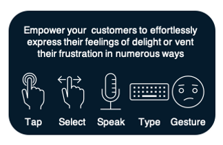 conversational ai assistant - voice of the customer