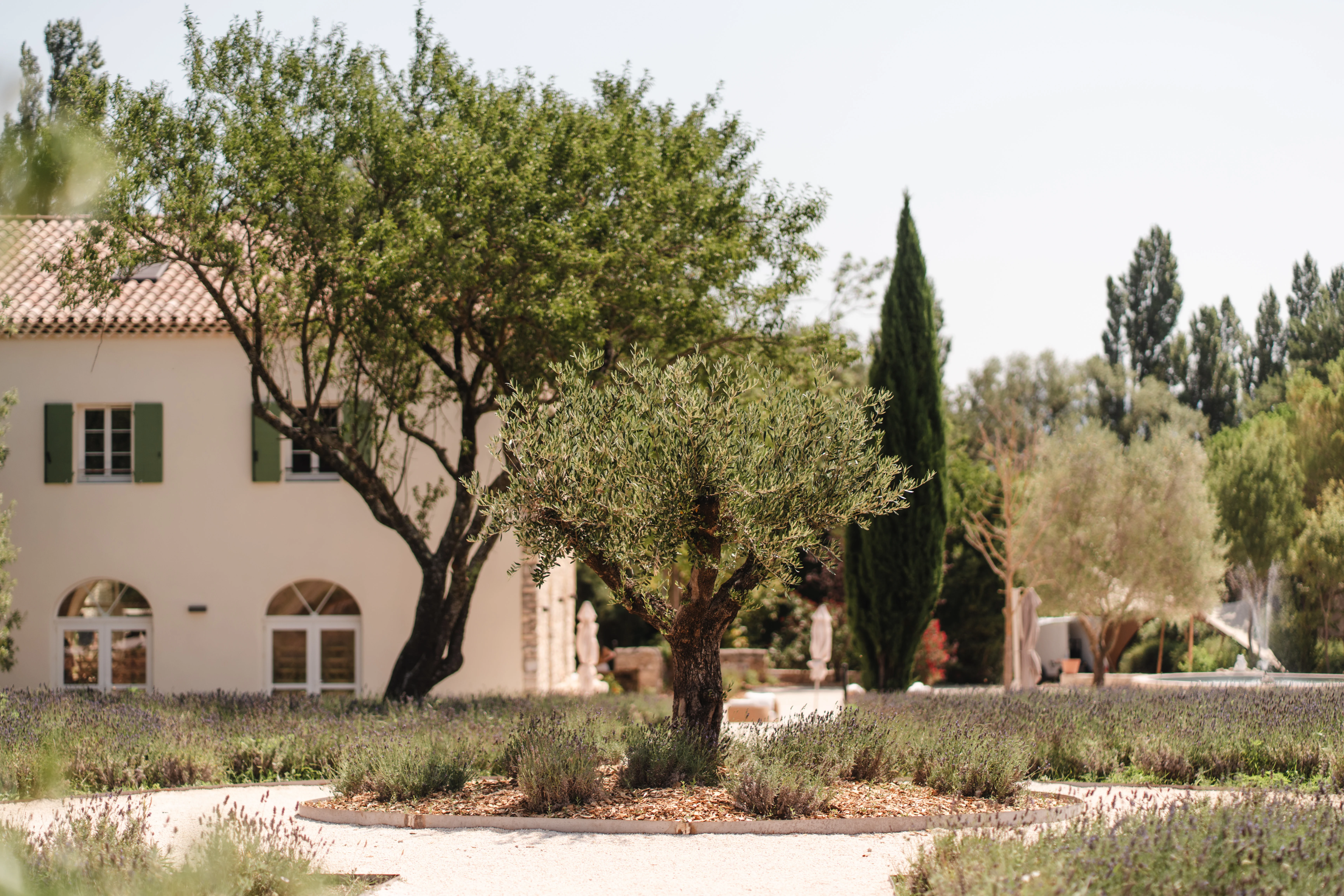 Jardin provençal et extérieur de mas en pierre, table de jardin en fer forgé blanc, pots en terre cuite remplis de lavande en fleurs, paysage de campagne en arrière-plan