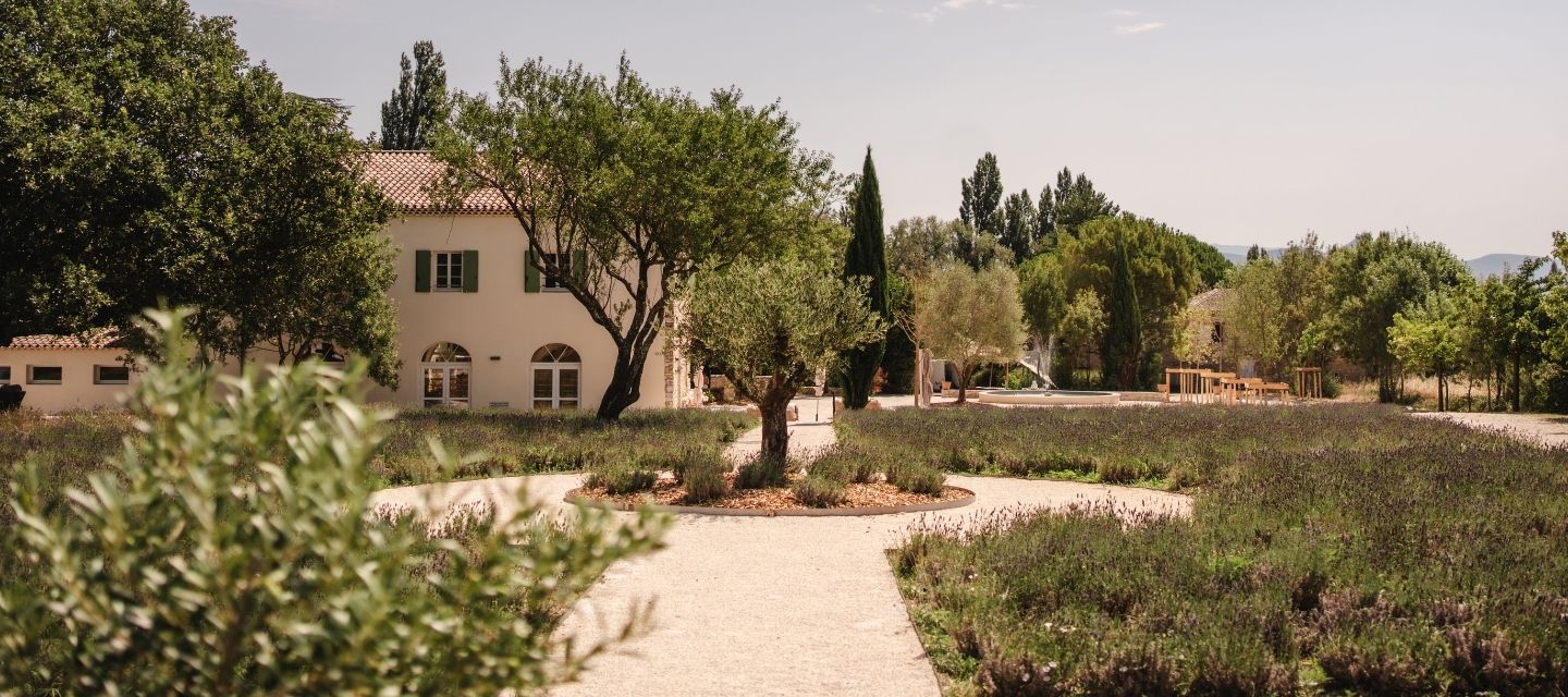 Domaine de la Vivande, ambiance provençale, lavandes en fleurs