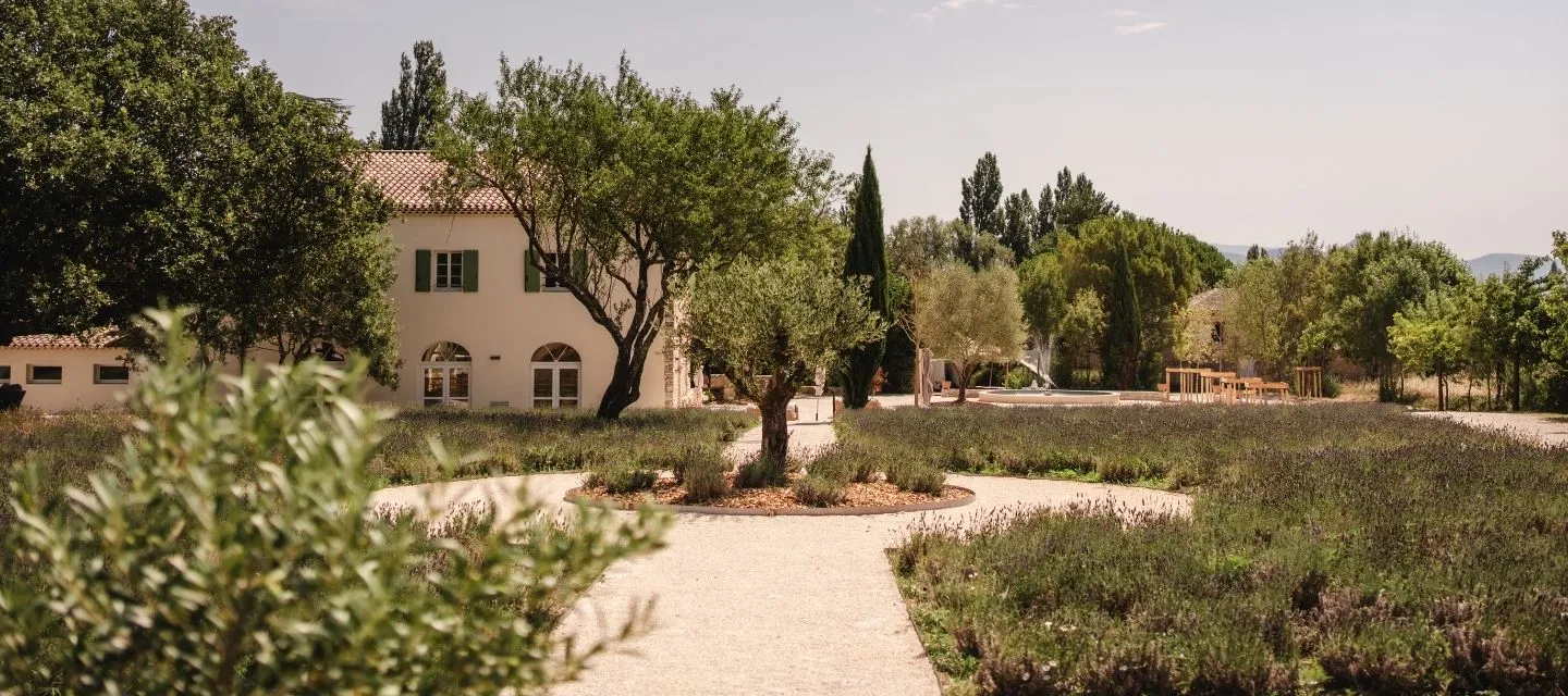 Domaine de la Vivande, ambiance provençale, lavandes en fleurs