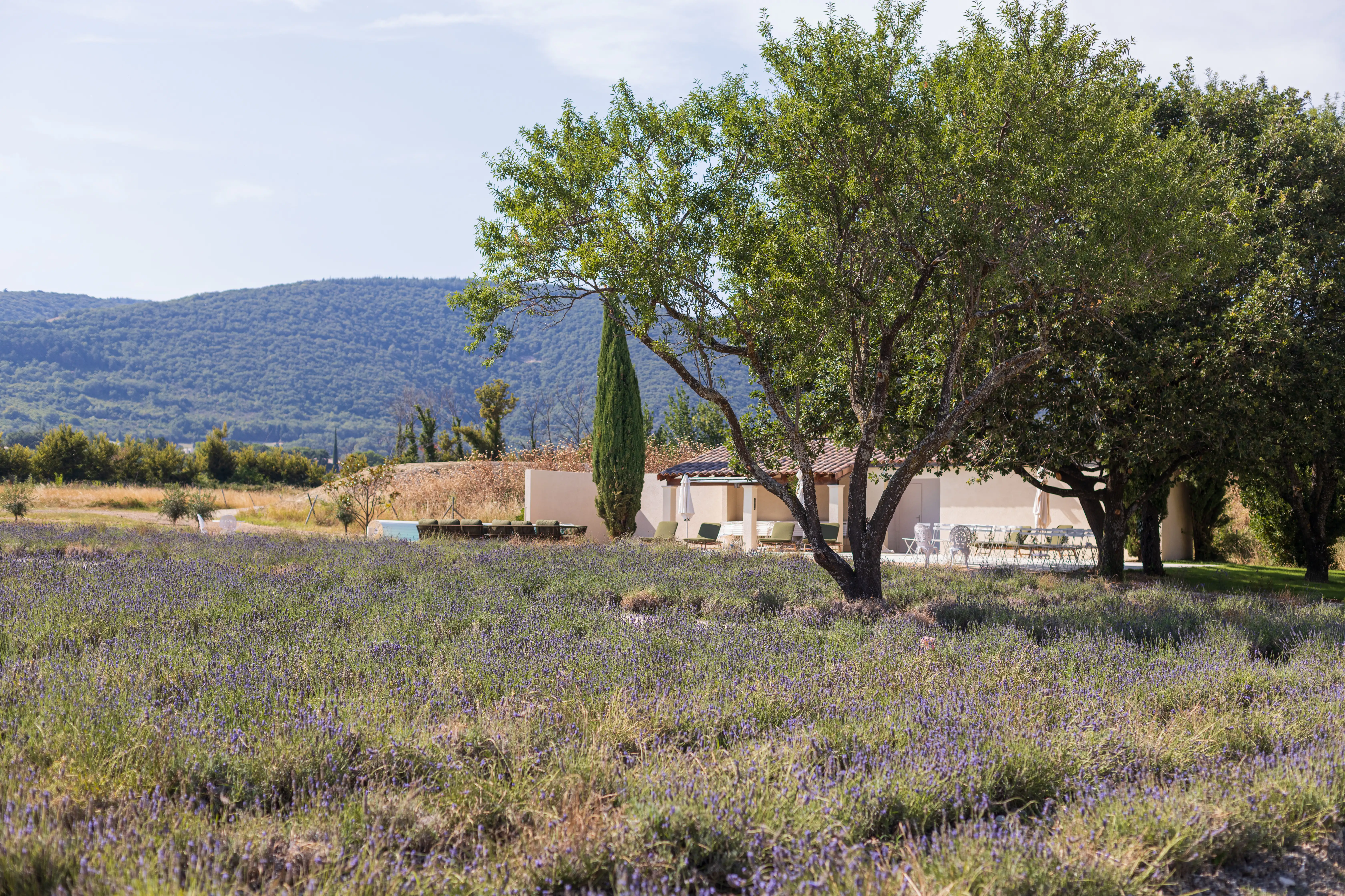 Outdoor picnic area at Domaine de la Vivande