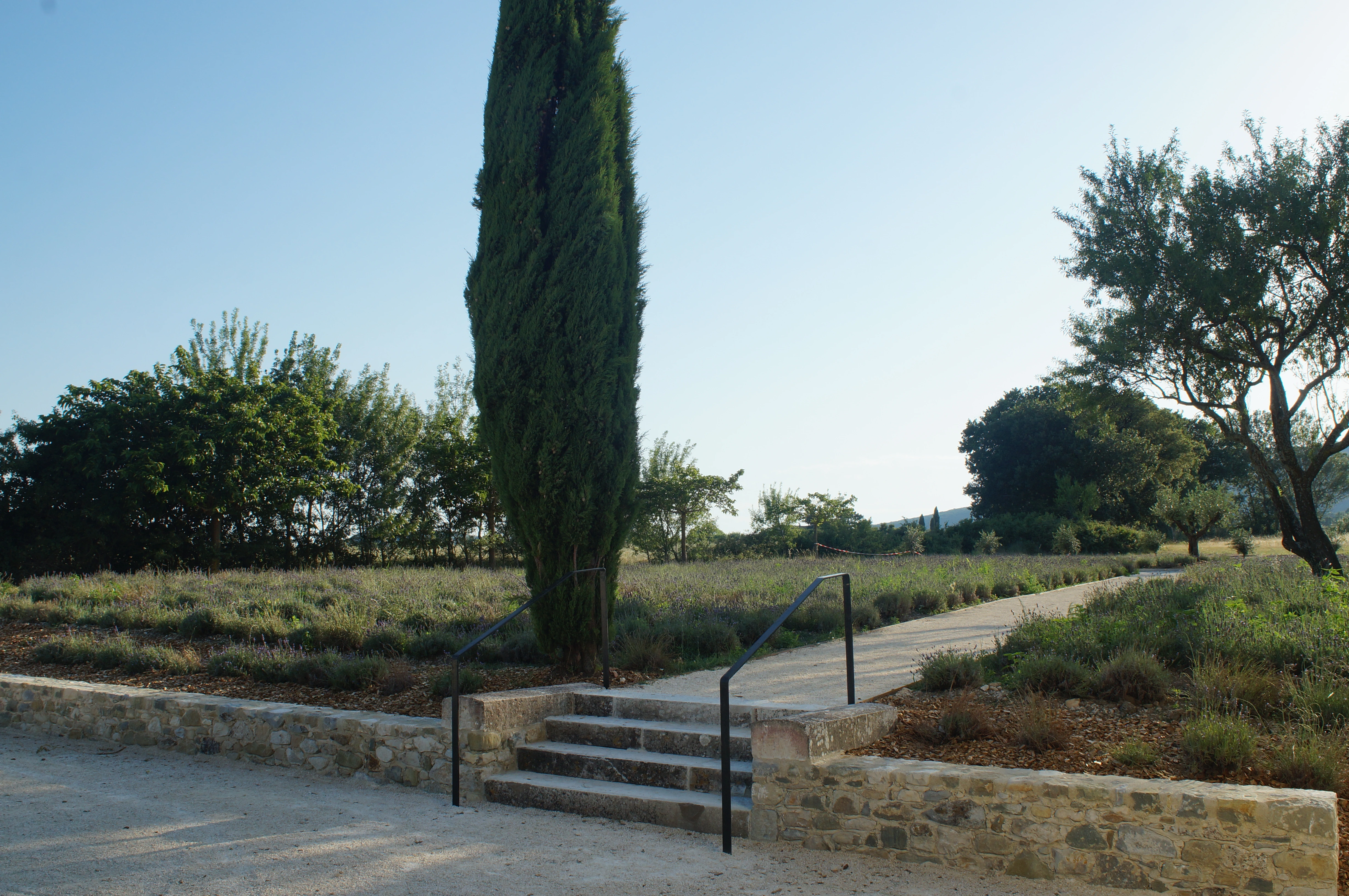 espaces exterieur à la Vivande