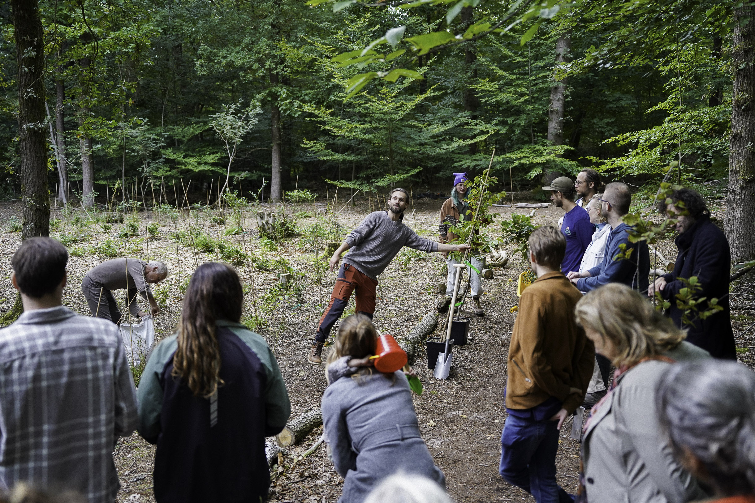 Group of people outdoors in a forest, with one person explaining while holding a young tree and a shovel nearby.