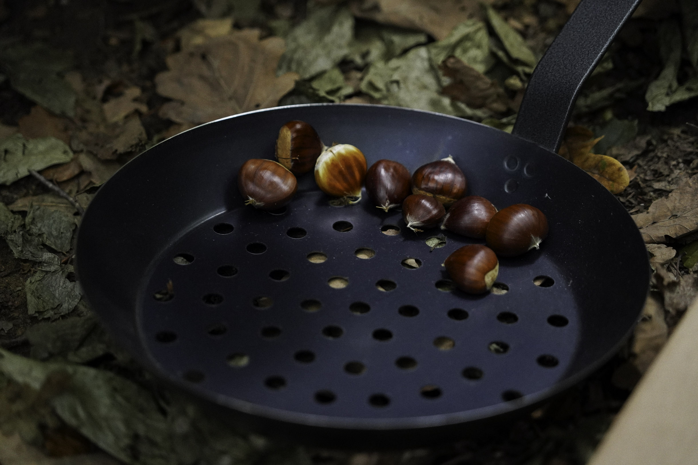 Black perforated pan with several chestnuts inside, resting on dry fallen leaves.