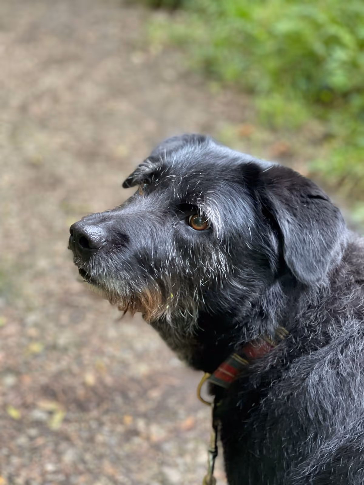 image of cafe interior