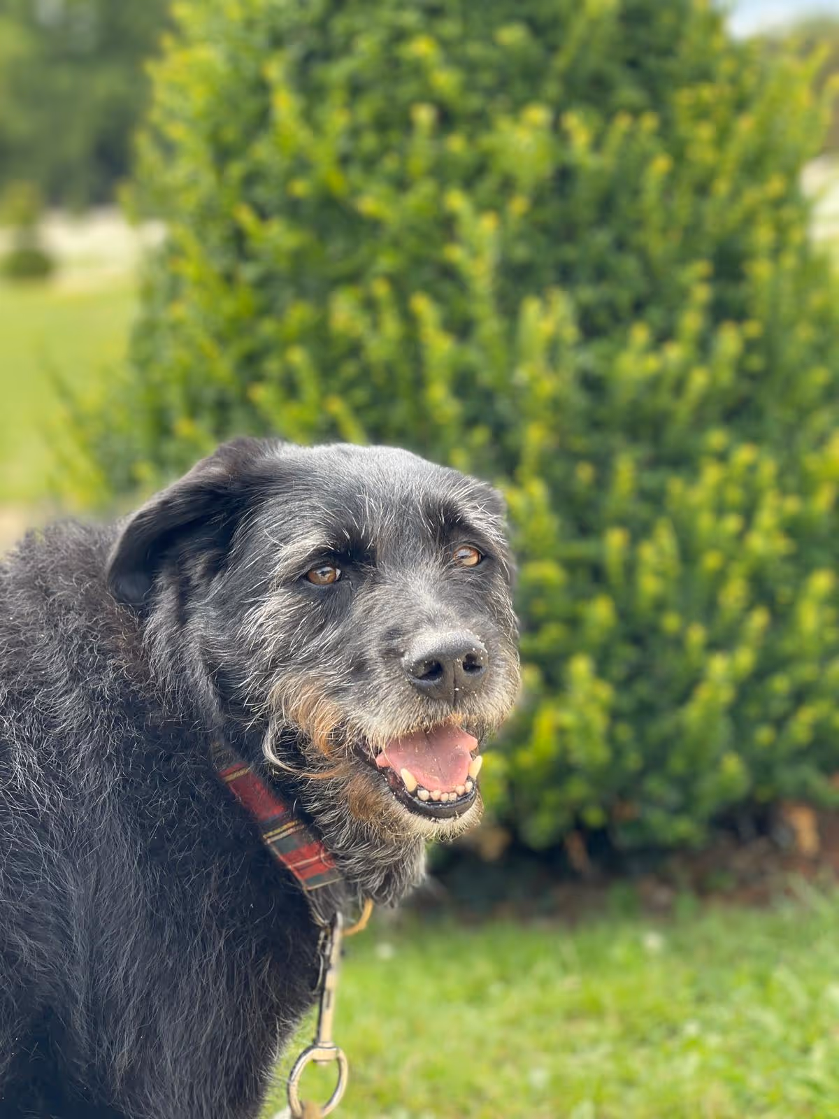 Bilan_Comportemental_2