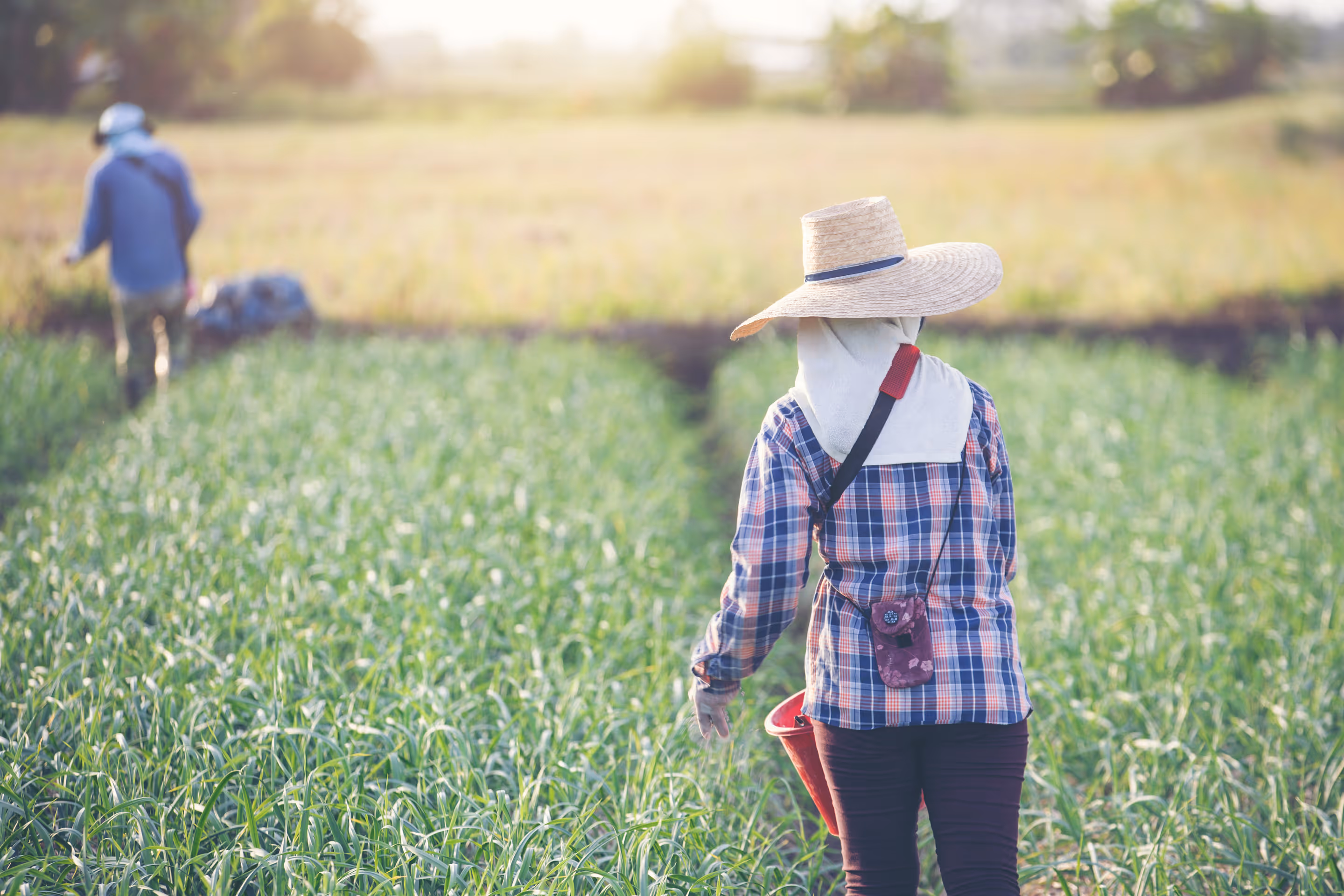 image of community transport seminar