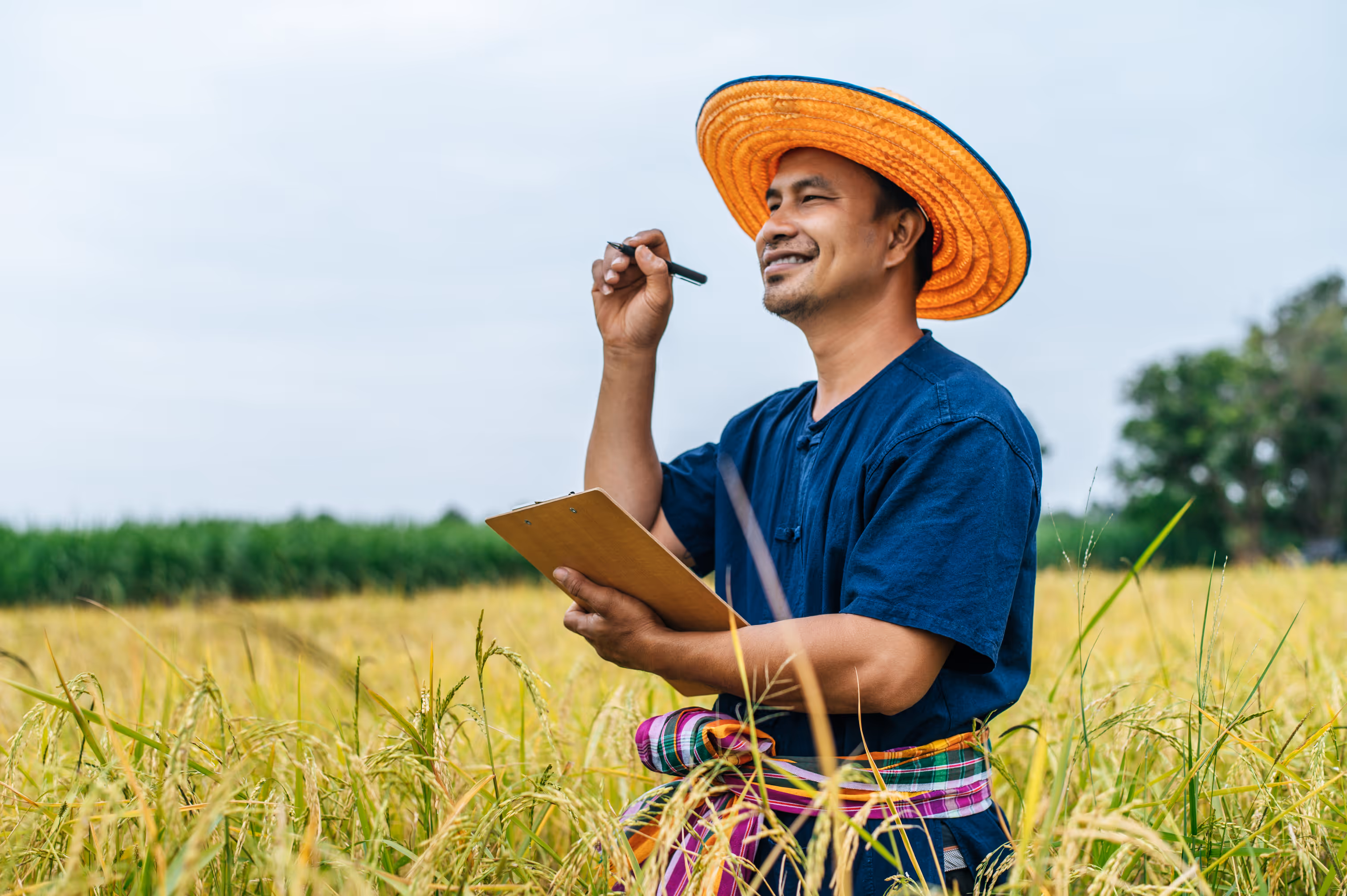 image of field with diverse crops