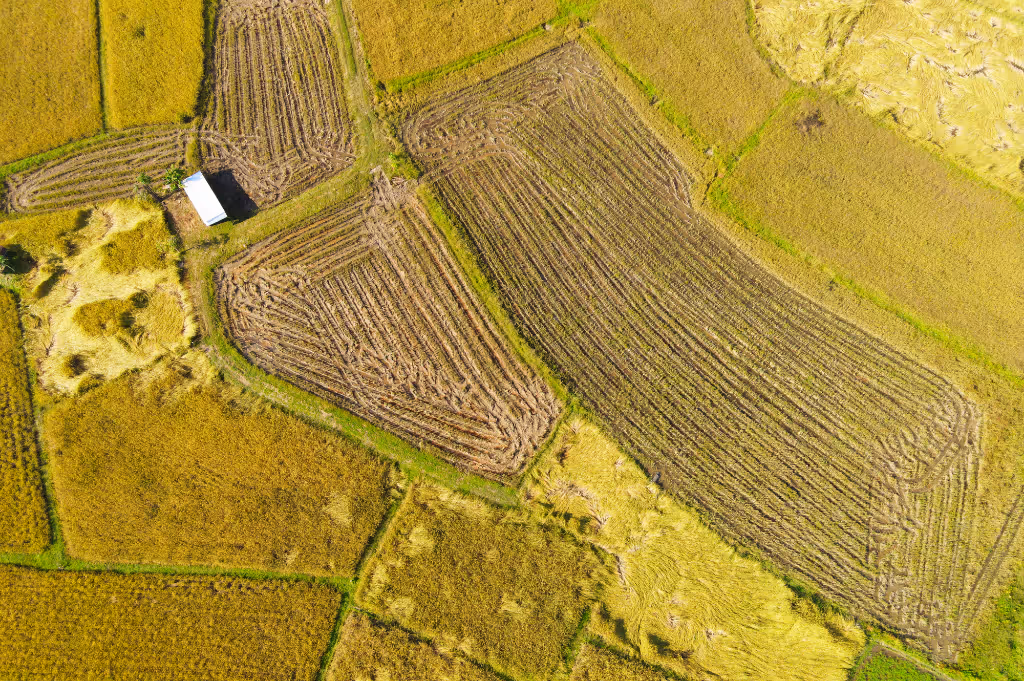 [interface] image of cloud-based solutions interface (for a hr tech)