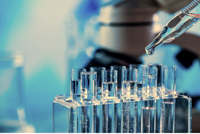 image of seo analytics on a laptop