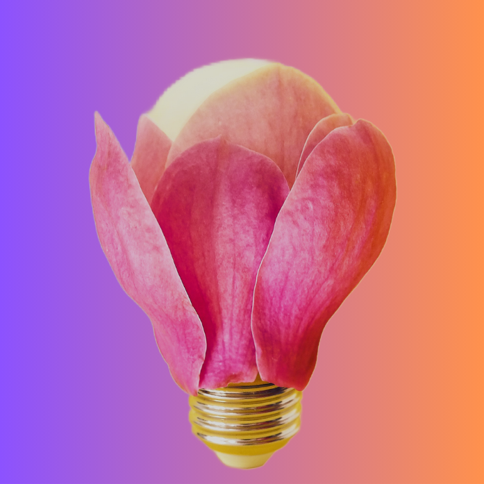 Light bulb with pink flower petals instead of glass on a purple to orange gradient background.