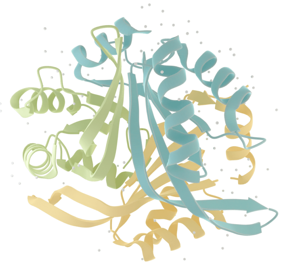 An illustration of a protein structure