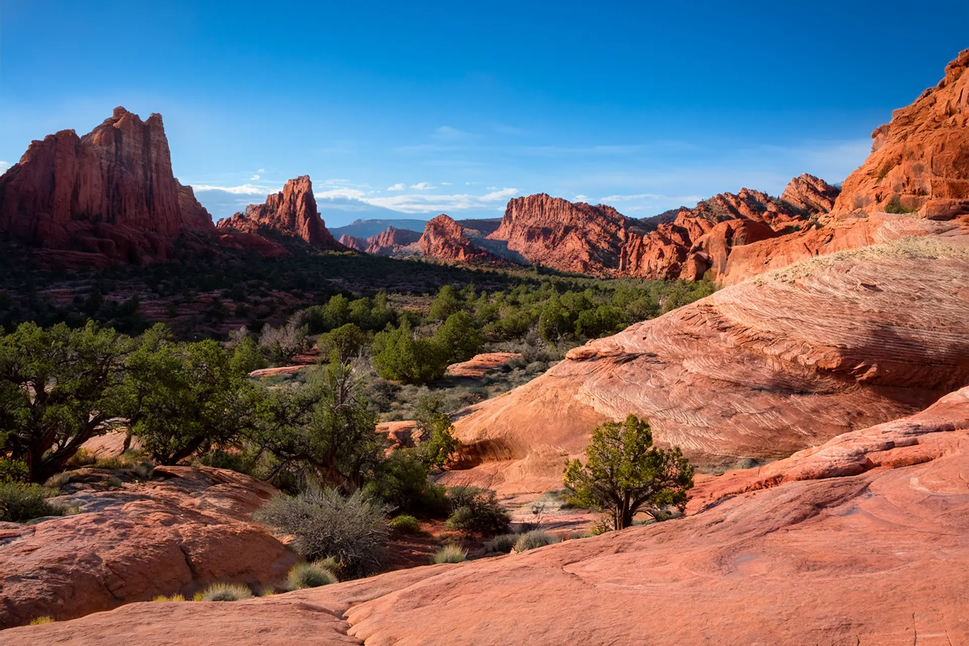 This photo depicts Southern Utah's scenery including desert trails, red-rock views and outdoor adventures such as hiking, biking, climbing and riding ATVs.