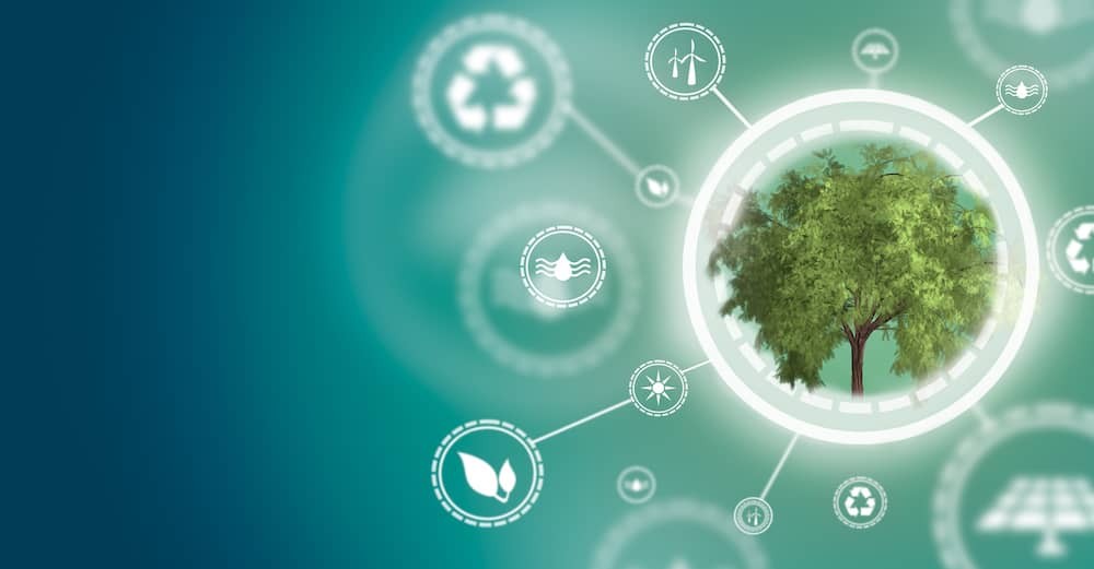 Starfish blog image showing tree surrounded by sustainability icons