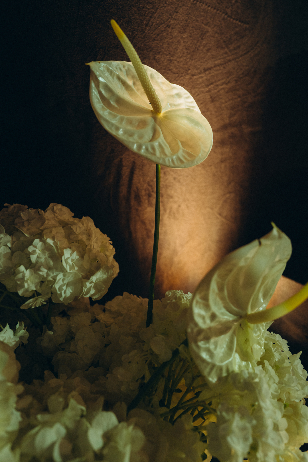 Woman in an elegant backless wedding dress standing by a window with sheer curtains looking outside at greenery.