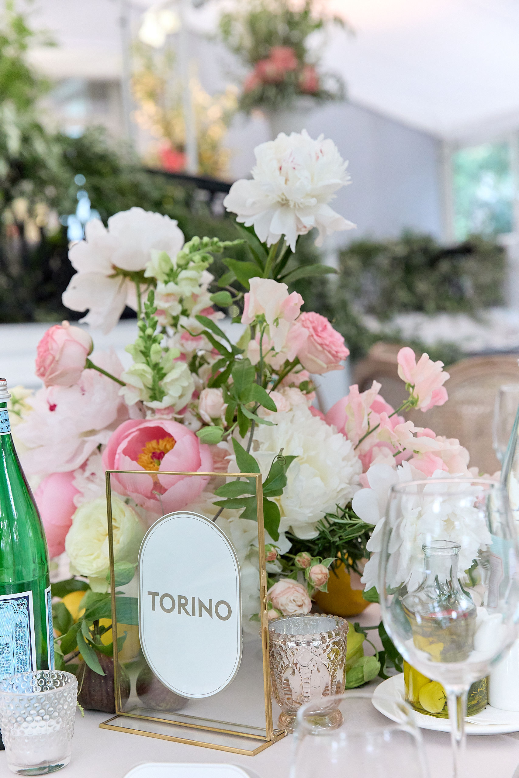 Woman in a backless lace wedding dress standing by a bright window with sheer curtains.
