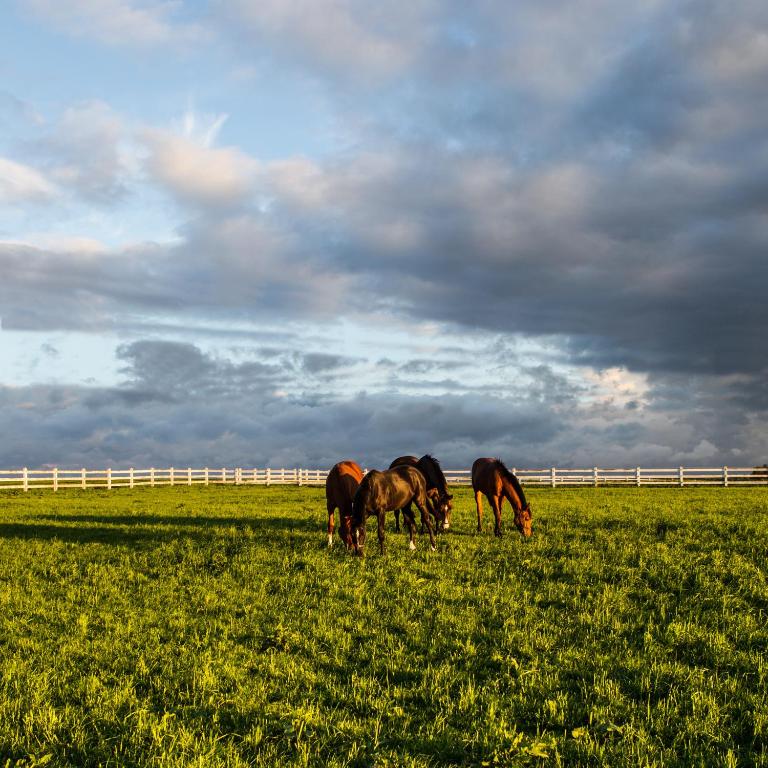A pyramid stack of empty crystal champagne coupe glasses on a glass table with a dark background and soft lighting.