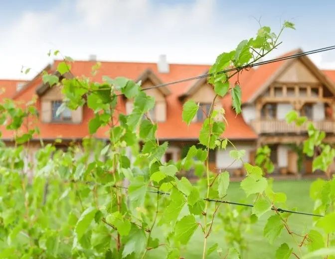 A pyramid stack of empty crystal champagne coupe glasses on a glass table with a dark background and soft lighting.