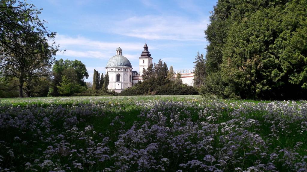 A pyramid stack of empty crystal champagne coupe glasses on a glass table with a dark background and soft lighting.