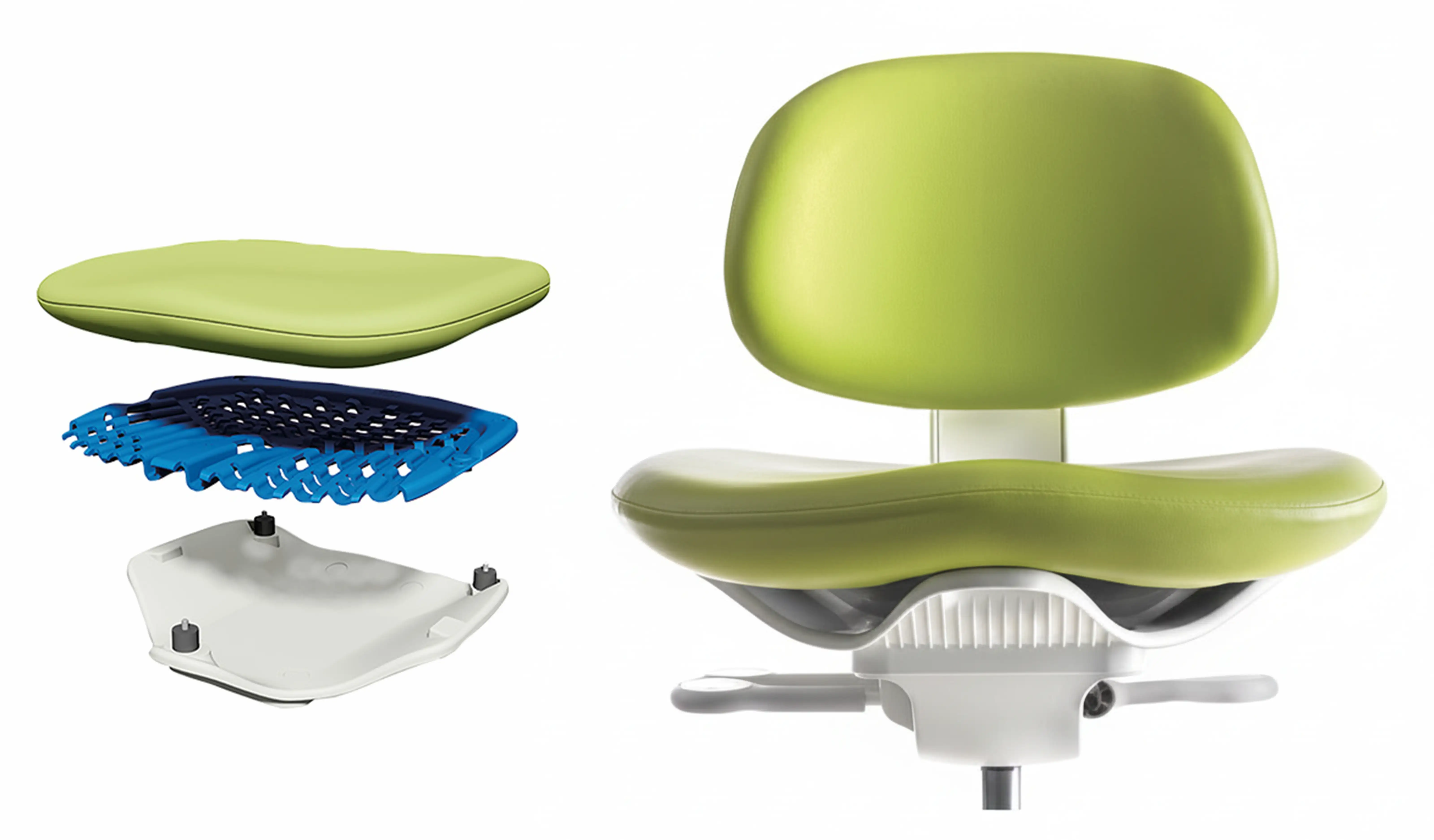 Estrategias integrales para una carrera en odontología larga y saludable