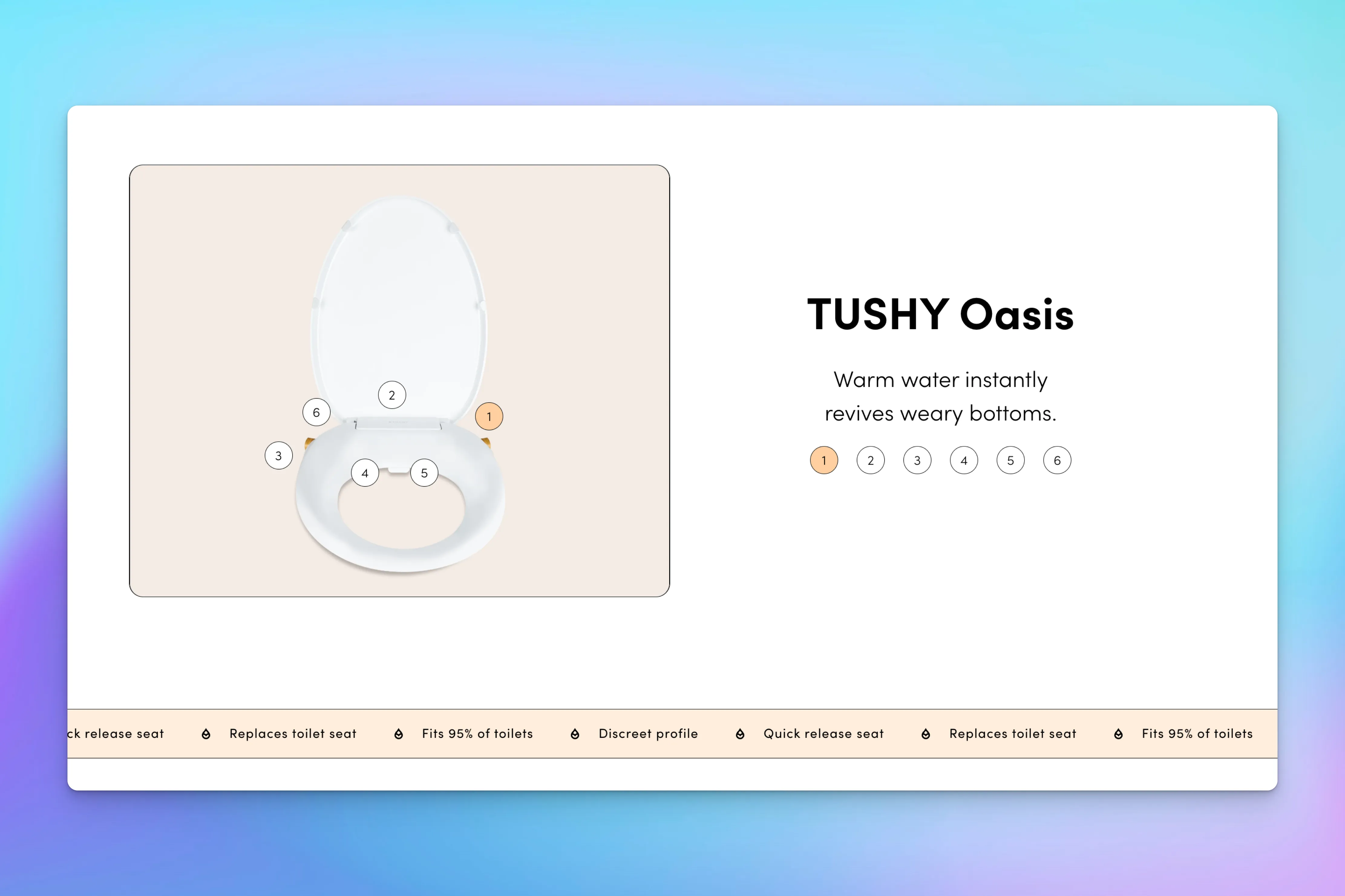  A TUSHY Oasis bidet seat is shown with numbered highlights, describing its warm water feature and compatibility.