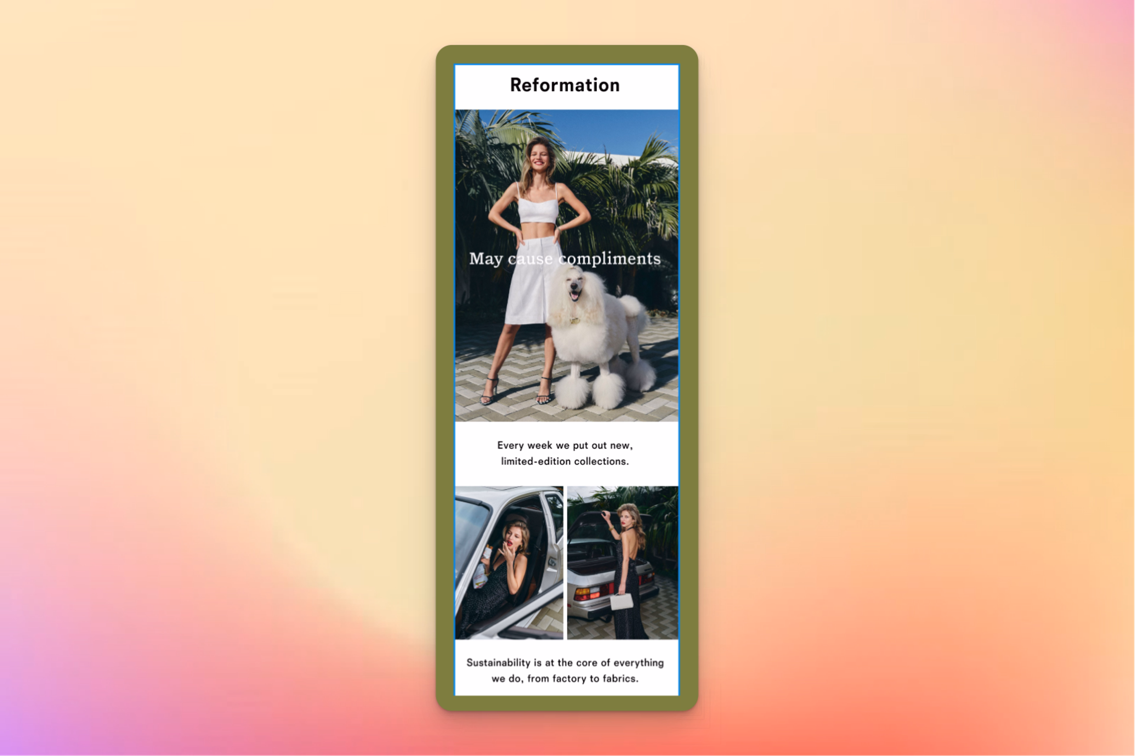 A Reformation marketing email features a stylishly dressed woman posing with a fluffy white poodle under the tagline "May cause compliments." The design highlights the brand’s focus on limited-edition collections and sustainability, with additional images of fashionable outfits and text emphasizing ethical production practices.