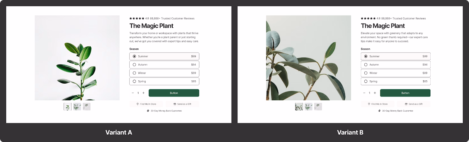 An A/B test compares two ecommerce product page designs for "The Magic Plant." Variant A features a simple, centered plant image with a white background, while Variant B uses a more natural close-up of a leafy branch. Both versions include customer reviews, a product description, seasonal pricing options, a green call-to-action button, and additional purchase options.