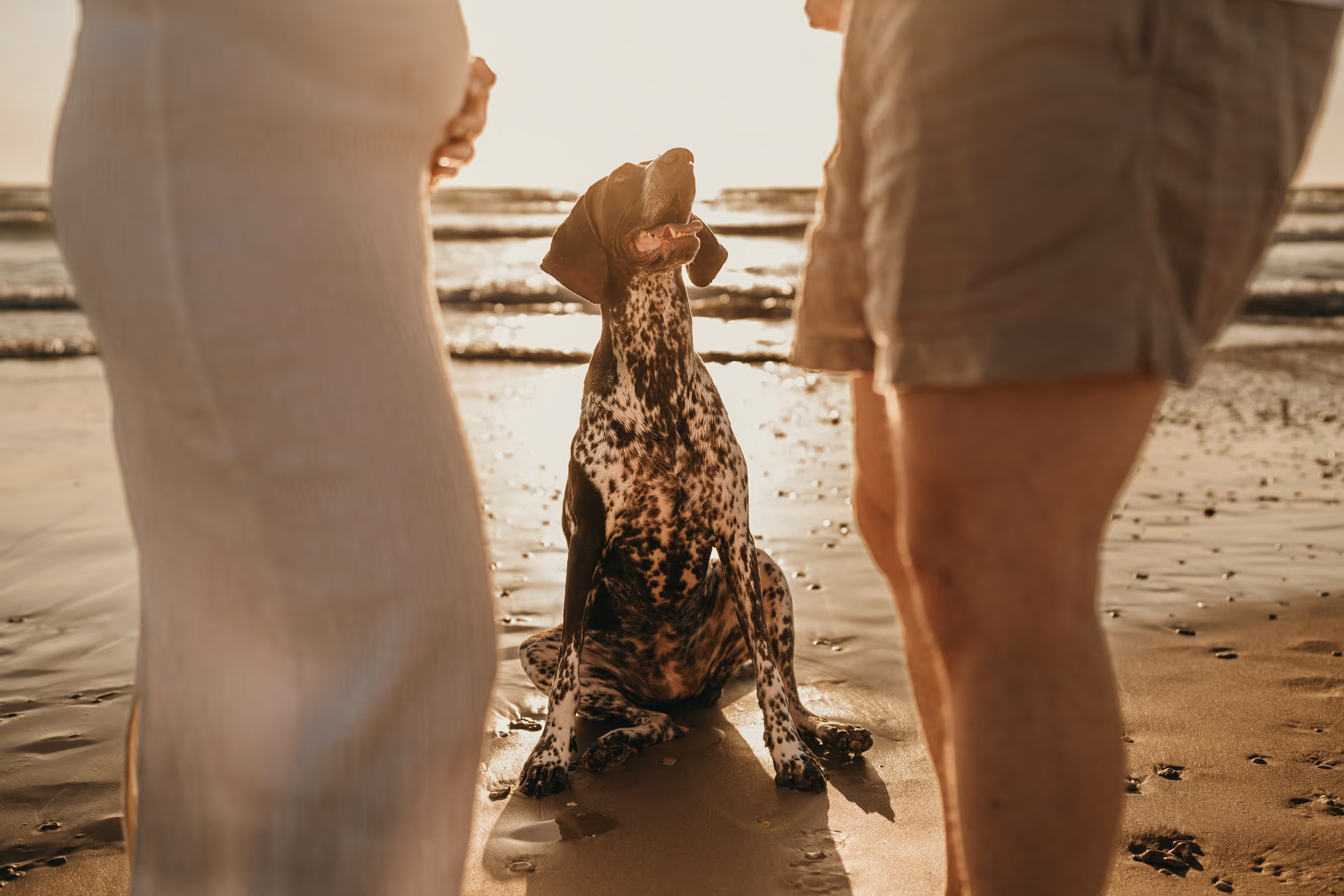 צילומי משפחה בחוף ים