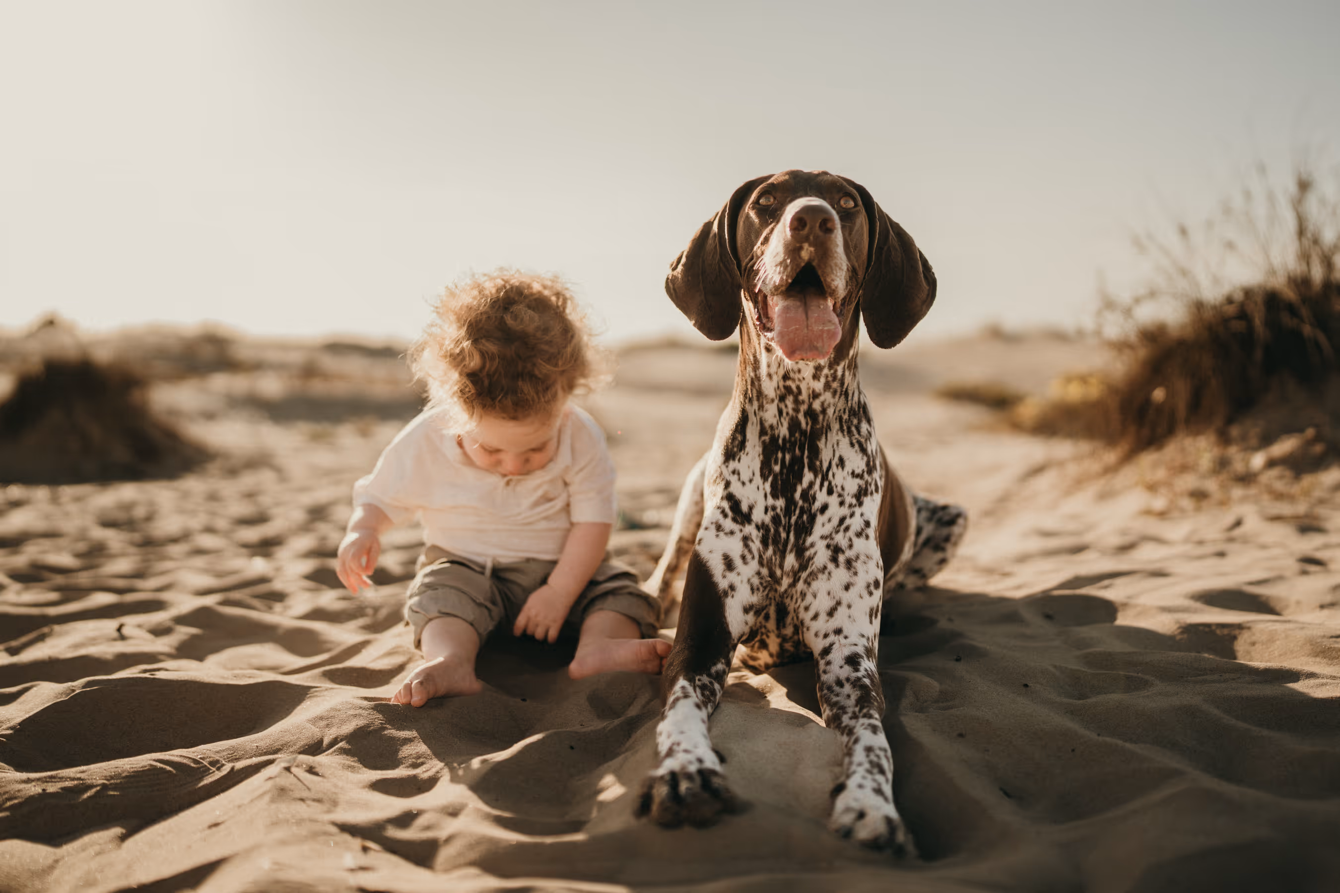 צילומי משפחה בחוף ים