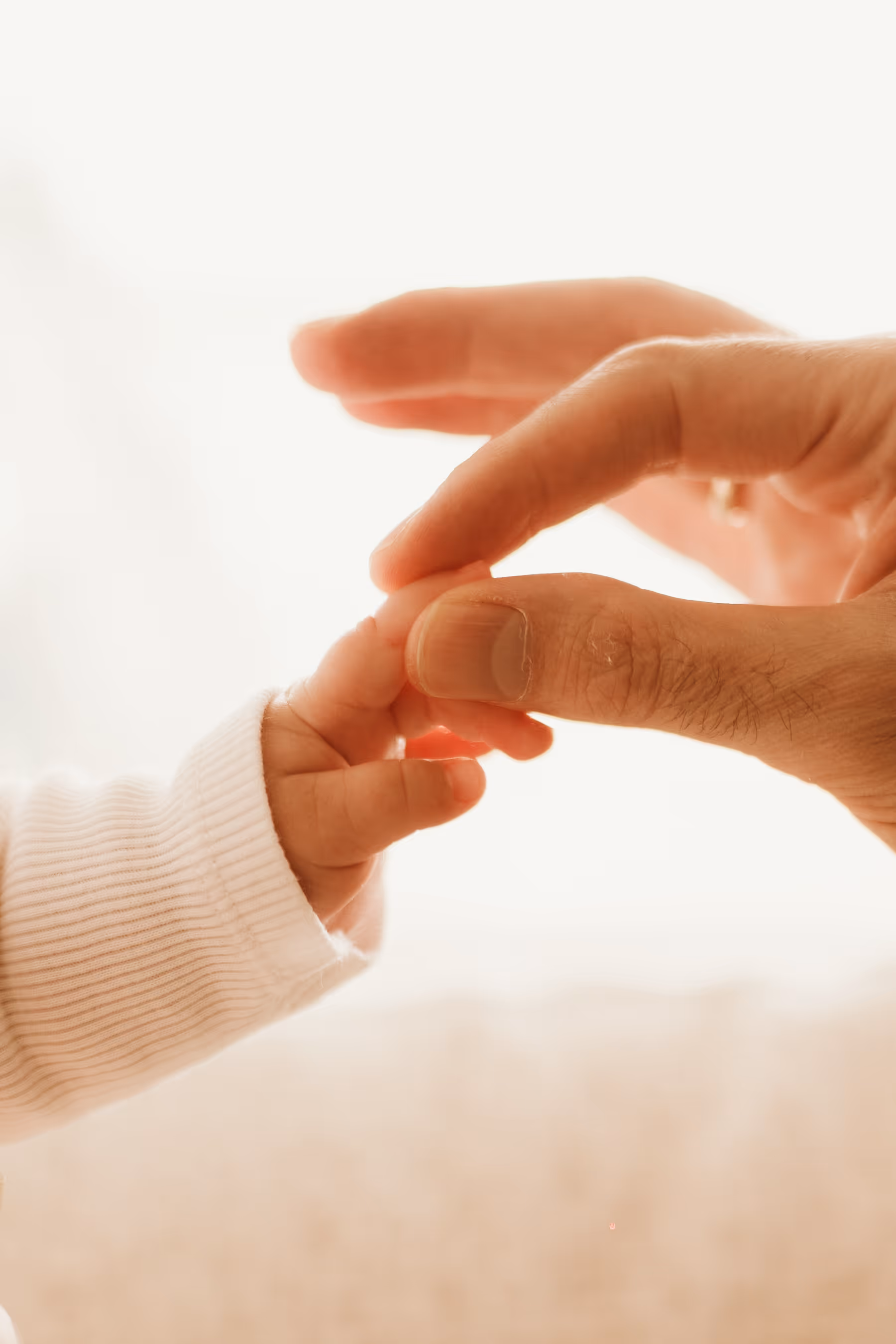 צילומי משפחה