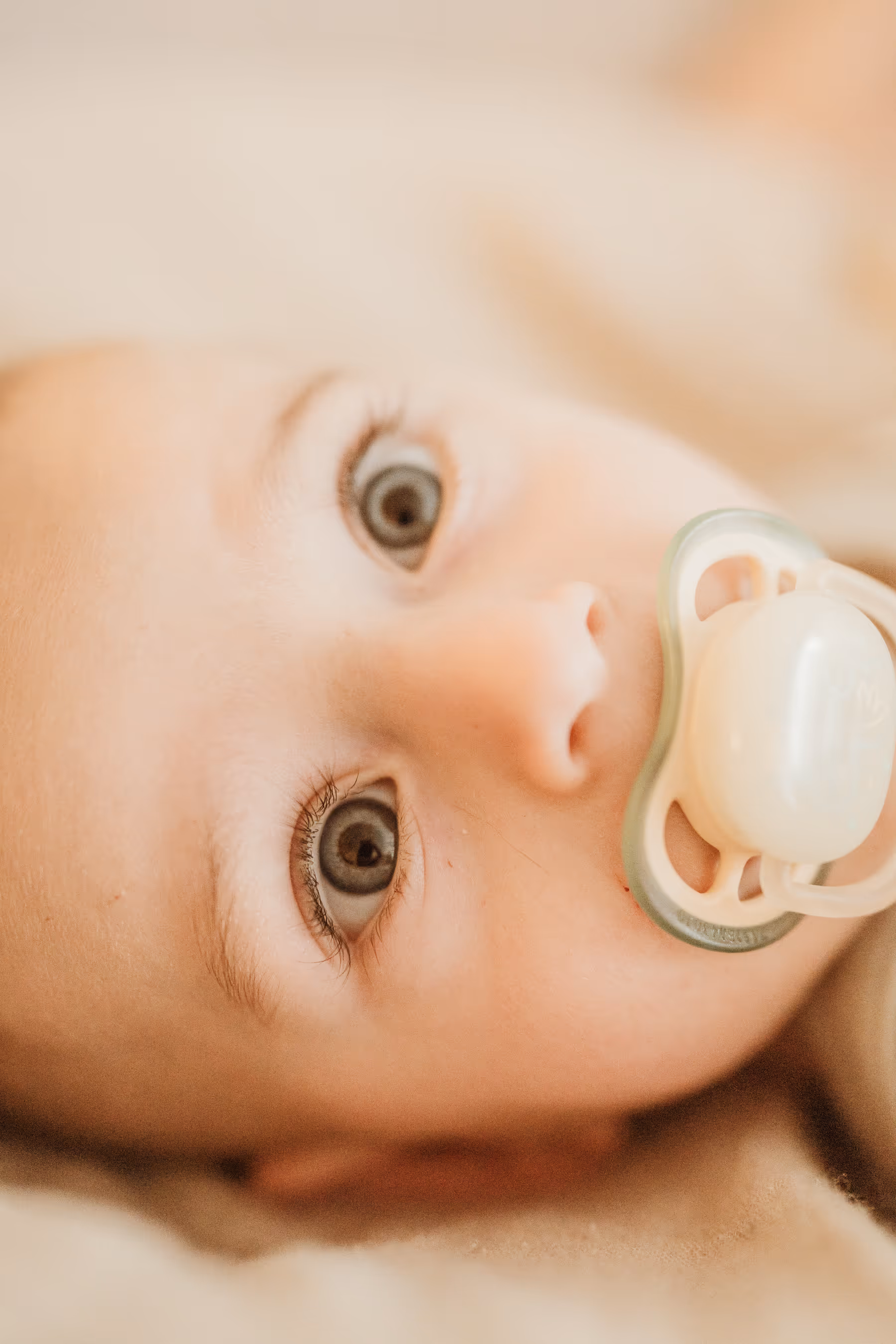 צילומי משפחה