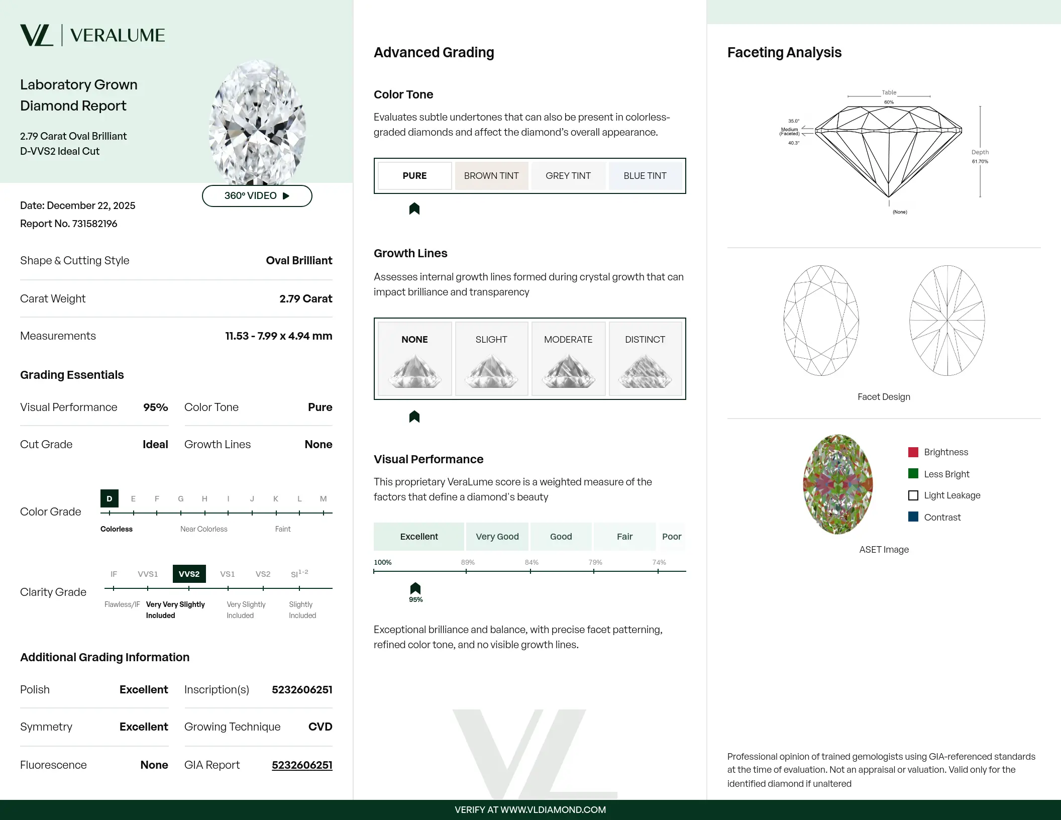 Veralume Report Sample.