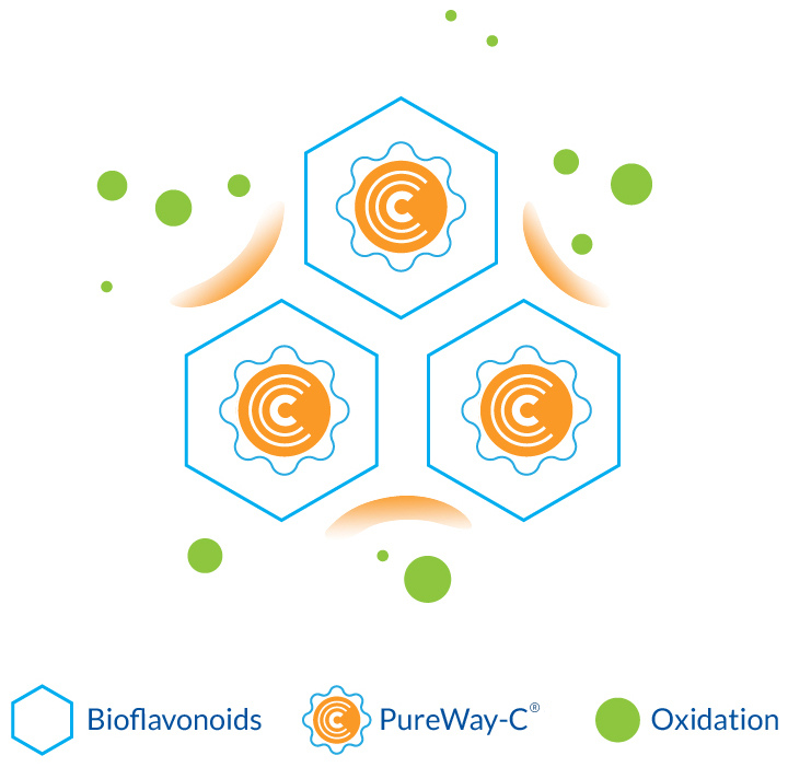 Vitamin C with a Natural Defensive Shield
