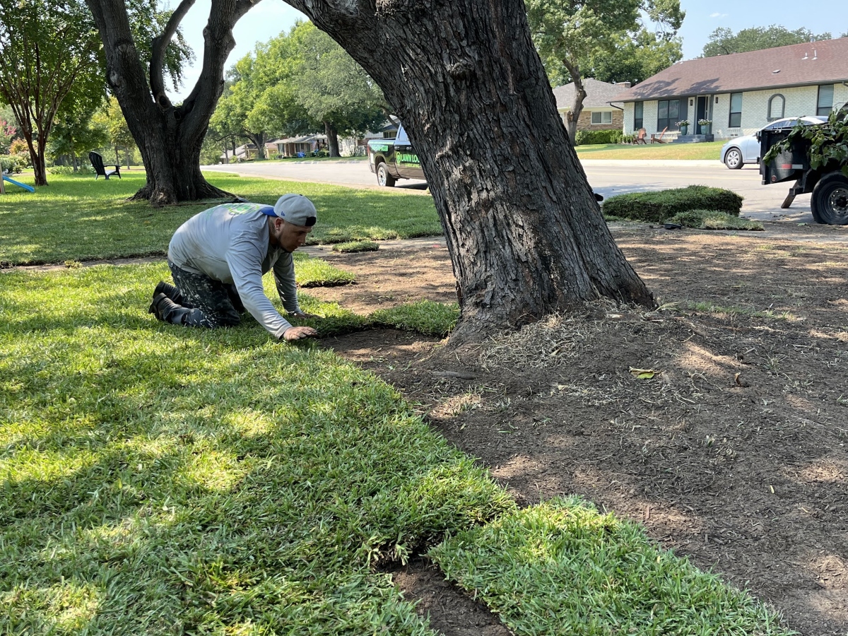 Sod installation in Dallas TX — professional lawn sod installation by Prestige Landscape