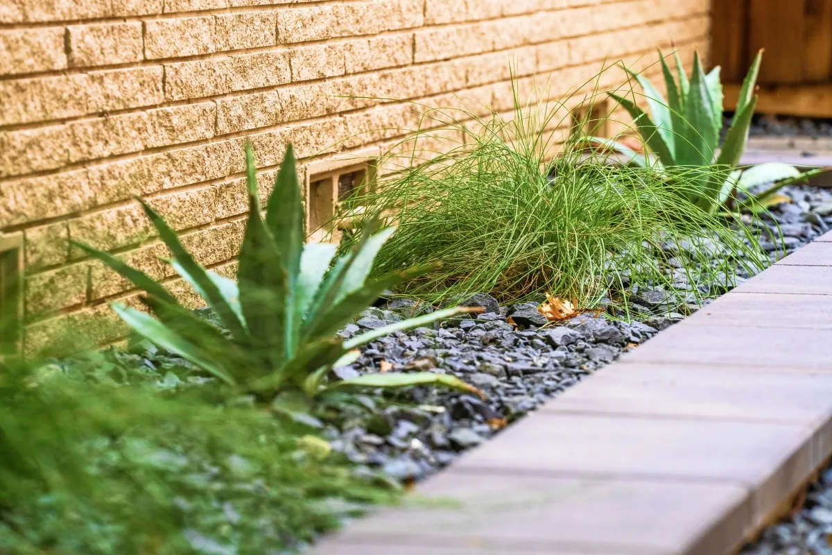 commercial landscape design contractor dallas tx