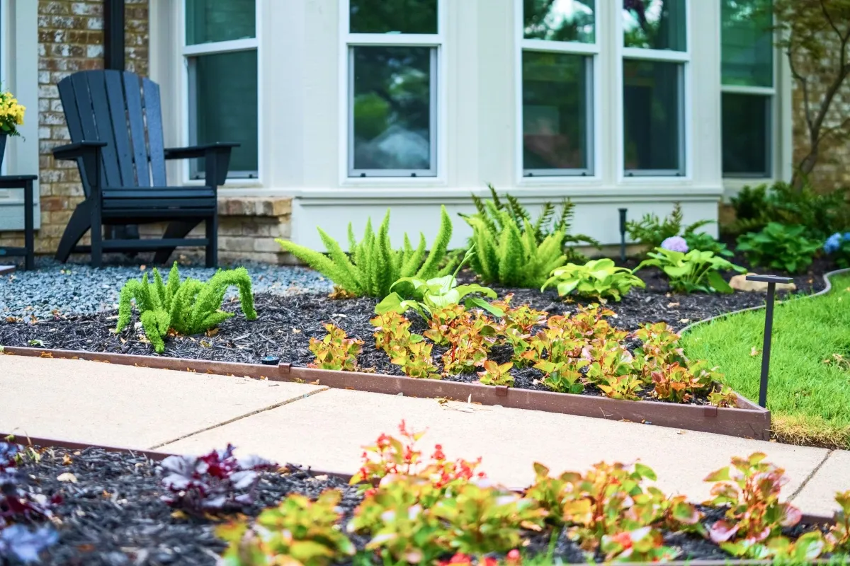 professional landscape contractors dallas tx