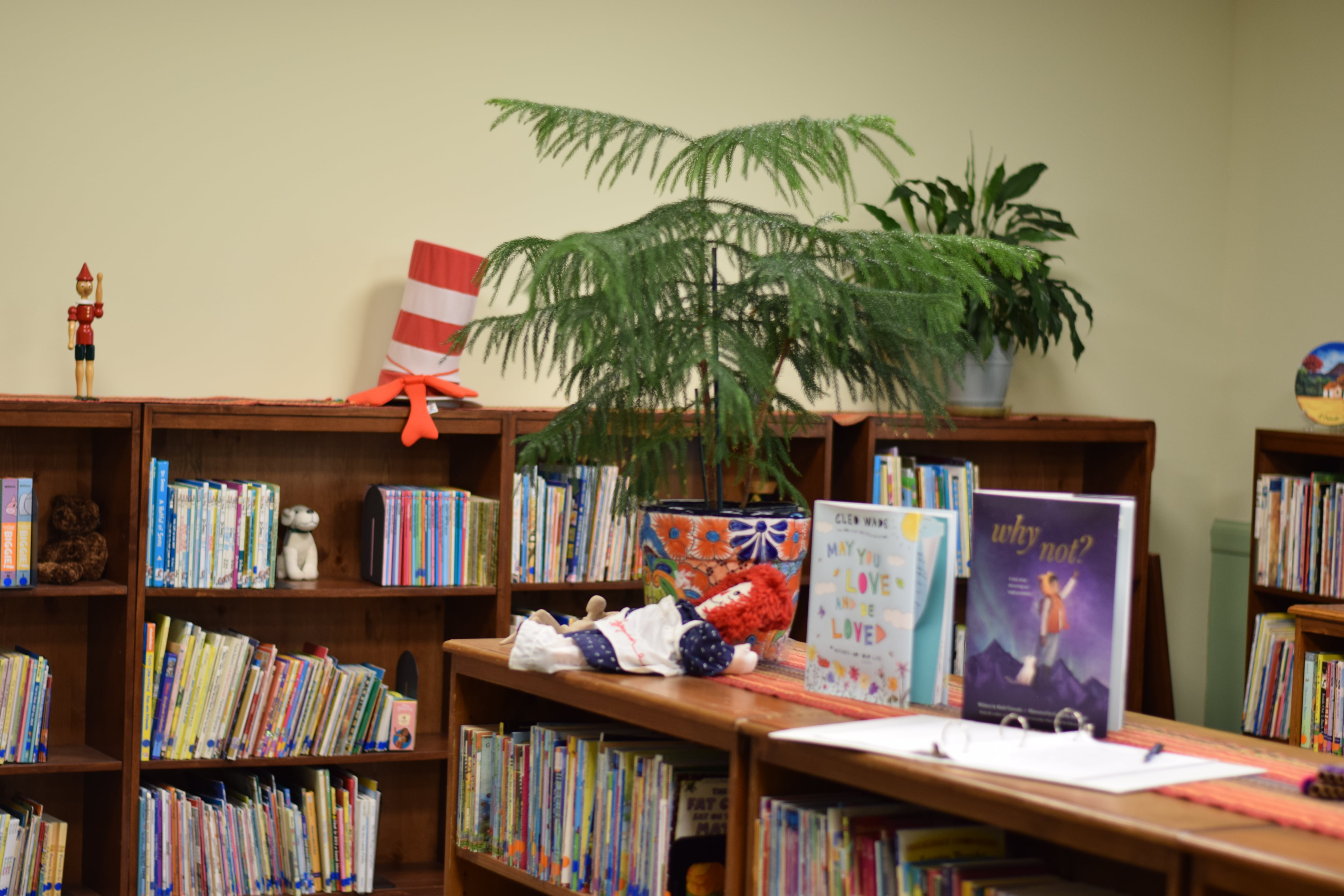 Library bookshelves - lots of children's books are present. 