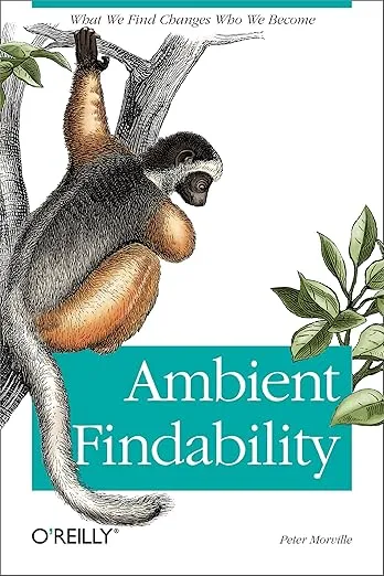 Ambient findability 