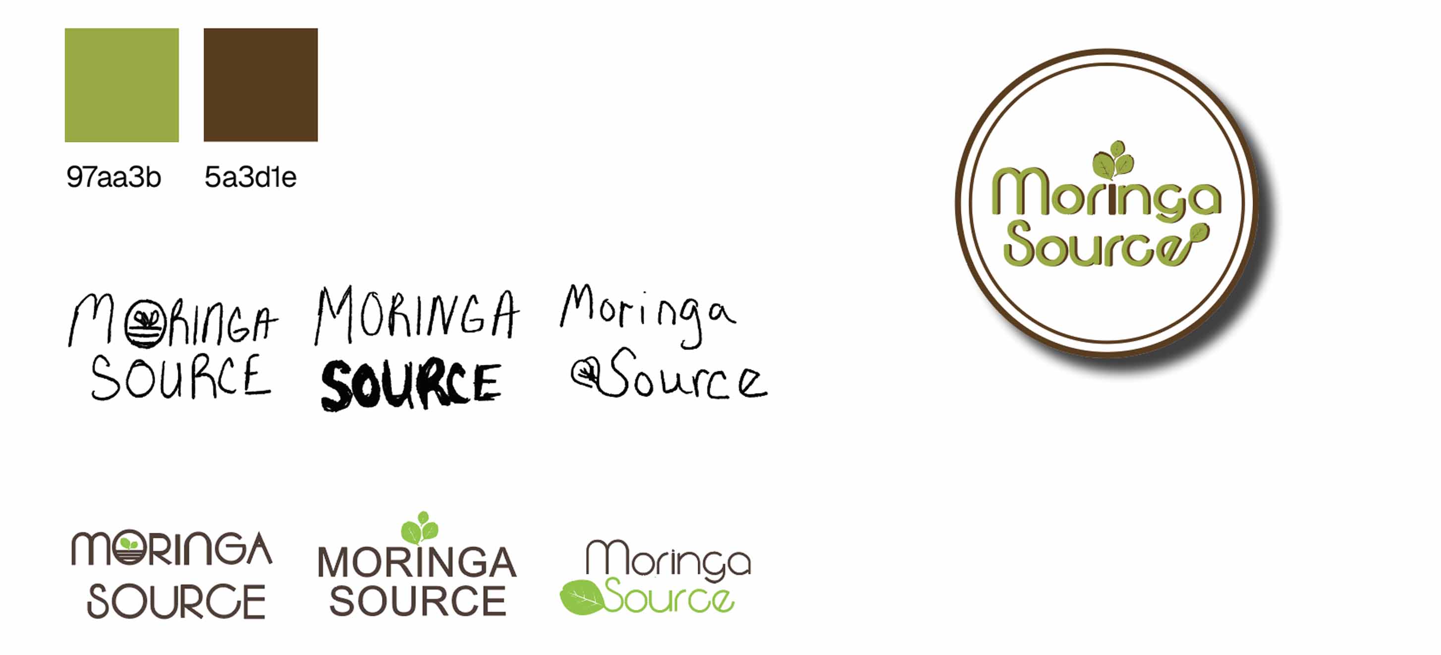 Moringa Source Logo Design Process include Sketches palette and iterations.