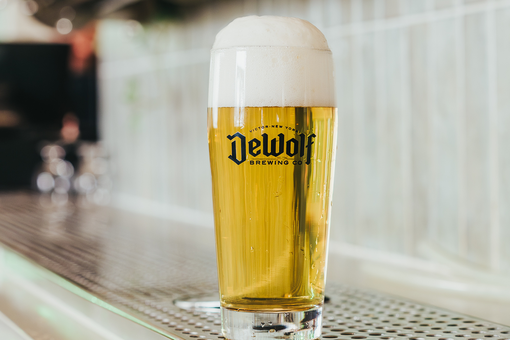 A crisp, pale golden pour of Zlatý Czech Style Pilsner with a fluffy white head in a DeWolf Brewing Co. pilsner glass, Victor New York