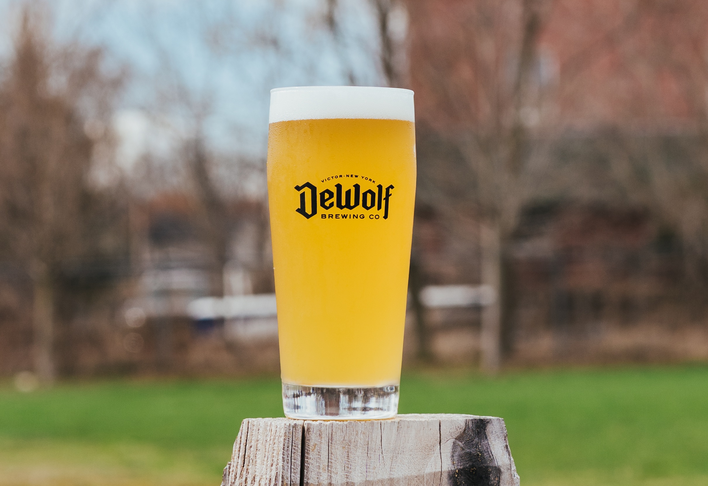 A pint of Cream City cream ale from DeWolf Brewing Company, light golden with a soft white head, photographed outdoors on a wooden stump.