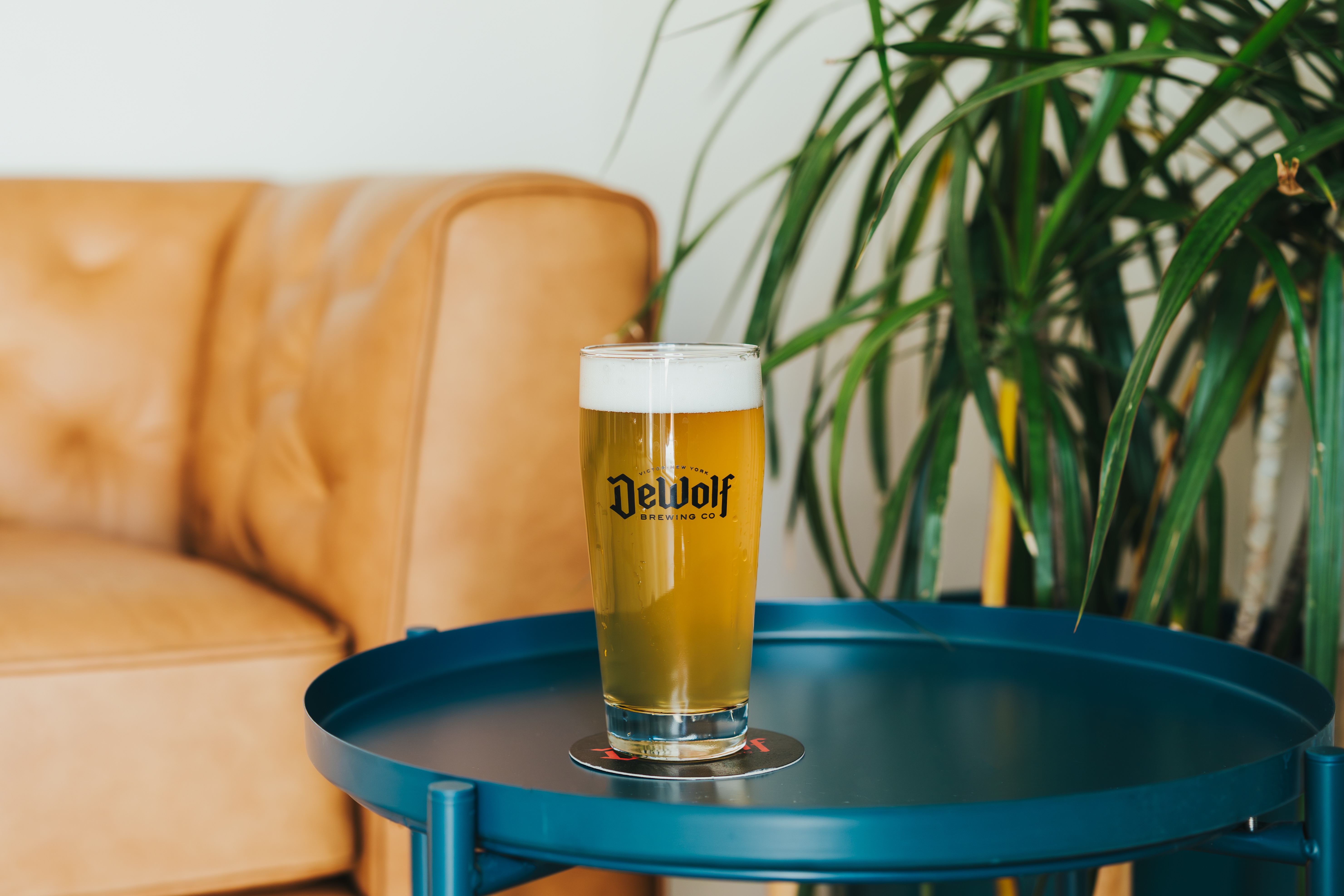 Cold glass of Brightline American Light Lager on a table in the DeWolf Brewing taproom in Victor, NY, with a crisp golden color and foamy head.