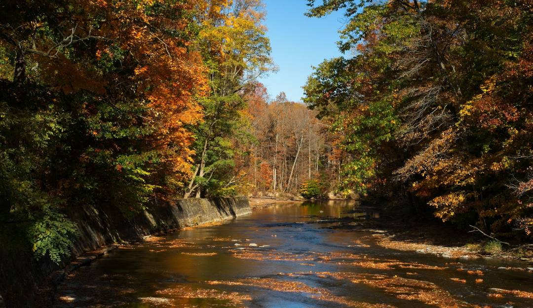 Calm river flowing through a forest with trees showing autumn colors under a clear blue sky.