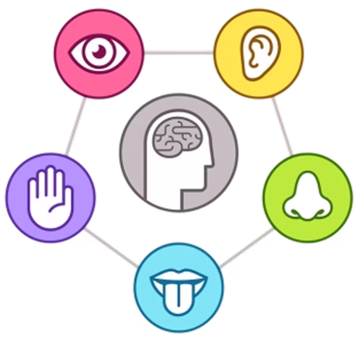 Icons representing sensory needs including sight, hearing, touch, smell, taste, and brain processing.