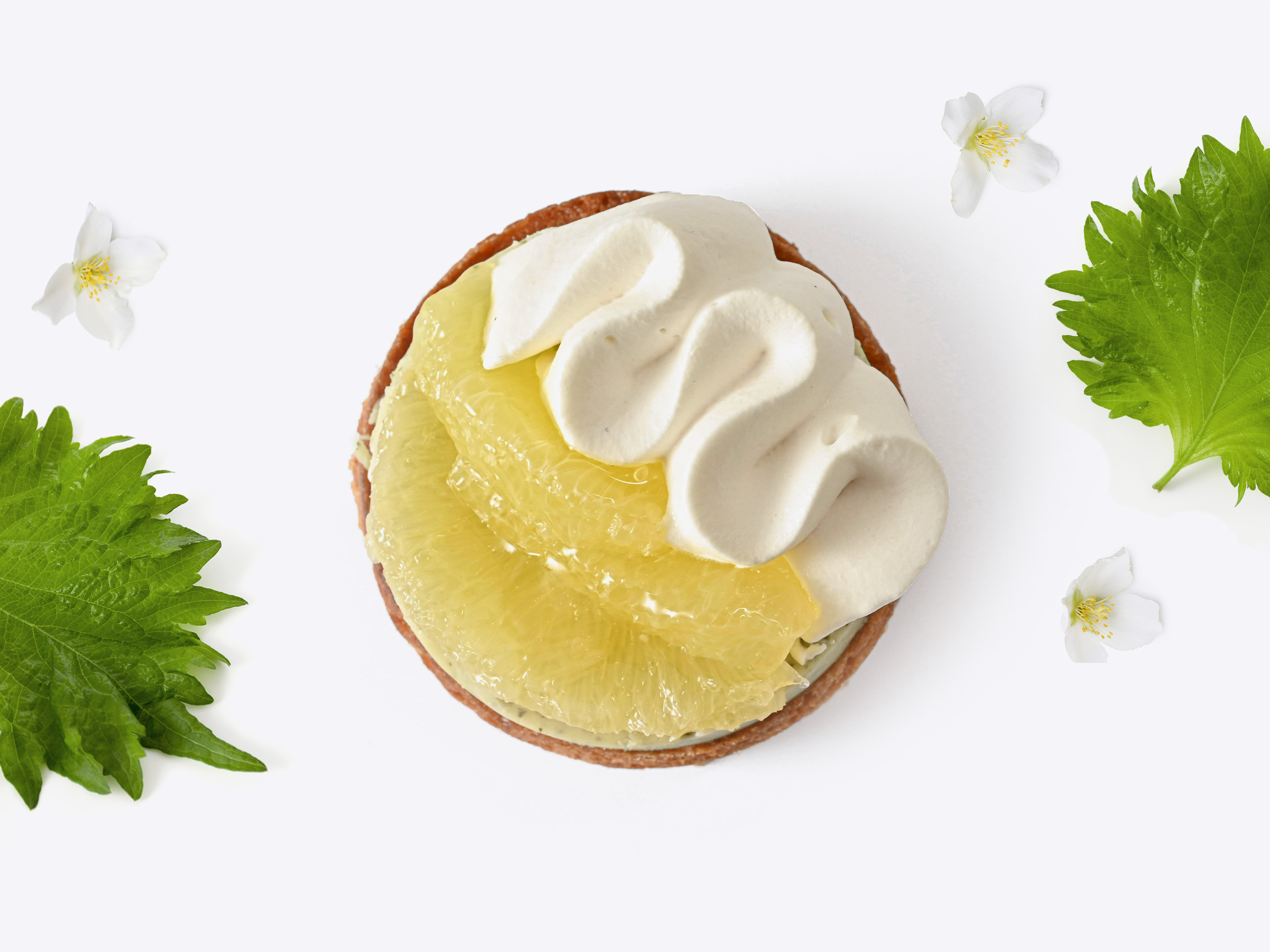 Tarte Shiso Givré