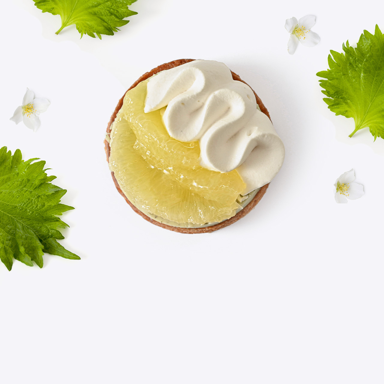 Tarte Shiso Givré