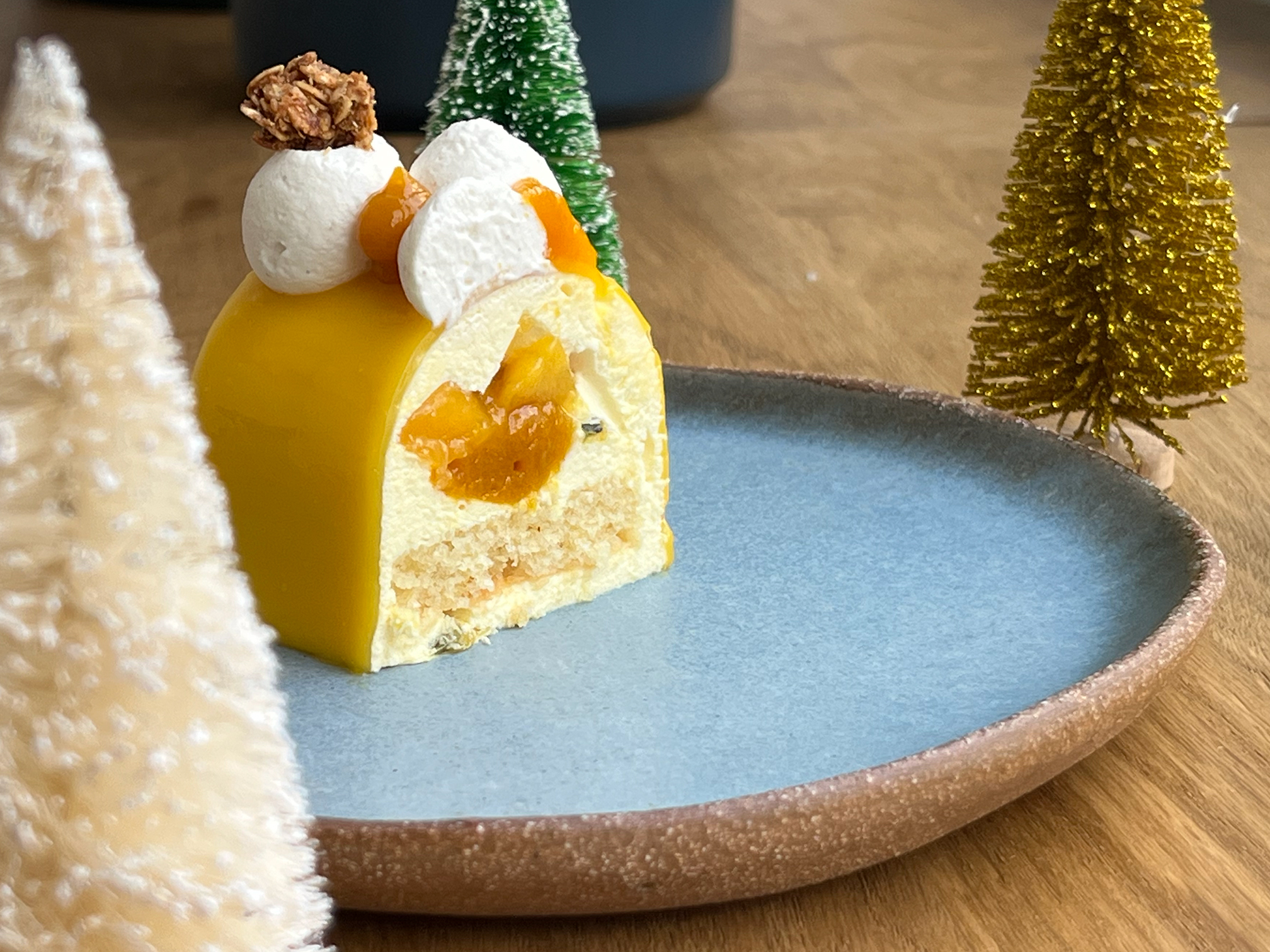 Bûche Mangue Démente